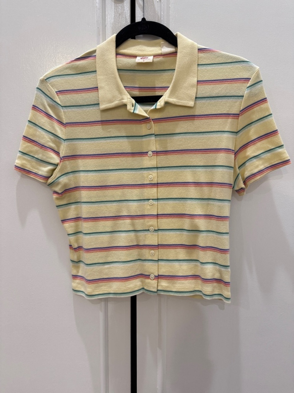 Levi’s Striped Pastel Button-Up Polo Top
